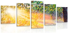 Quadri 5 pezzi – Alba nella foresta
