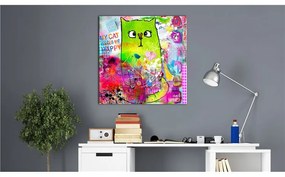 Quadro Crazy Cat  Colore colorful, Dimensioni e Misure 70x70