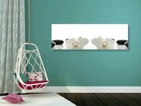 Quadro su tela – Fiori bianchi di orchidea