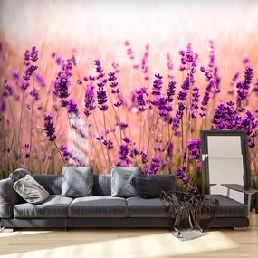 Fotomurale adesivo  Lavender in the Rain  Larghezza x Altezza Home decor 98x70