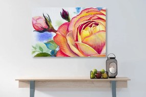 Stampa su tela – Rose in sfumature rosa