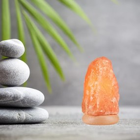 Lampada al sale (SALLY 1xE14/25W/230V