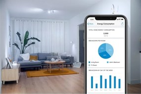 Lampadina LED dimmerabile VINTAGE G95 E27/6,7W/230V 2000-5000K CRI 90 Wi-Fi - WiZ