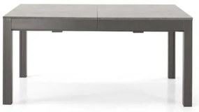 Tavolo in legno allungabile a 320 cm 12 posti FABIO Cemento