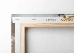 Stampa su tela – Pianta di cotone