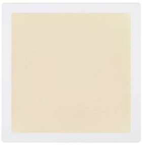 Globo 12380-24W - Plafoniera LED LASSE LED/24W/230V 3000/4000/6500K bianco