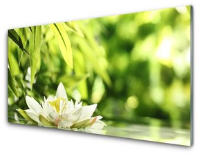 Quadro vetro Foglie di fiori 100x50 cm