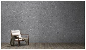 Piastrella da pavimento interno 120 x 280 cm Sp. 6 mm rettificato Ceppo in gres naturale grigio opaco traffico intenso (pei 4/5) R10 3.36 mq