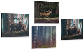 Set di quadri – Incanto degli animali del bosco