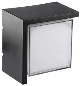 LED Applique da esterno LED/12W/230V IP65