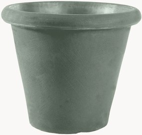 Portavaso Camelia