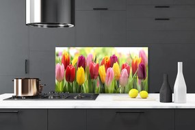 Pannello paraschizzi cucina Tulipani, fiori, natura 100x50 cm