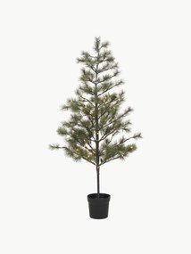 Albero di Natale con luci a LED Pauce