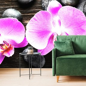 Carta da parati – Splendida orchidea e pietre