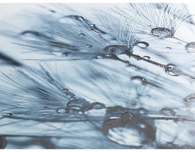 Sedile per wc con chiusura automatica 36,5 x 45 cm Sereno - Wenko