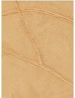 Élitis Carta da parati Kintsugi - VP 1004 12