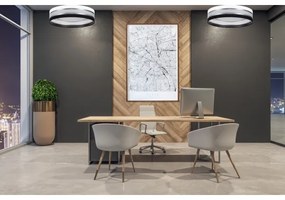 Plafoniera LED CORAL 1xLED/24W/230V nera/bianca