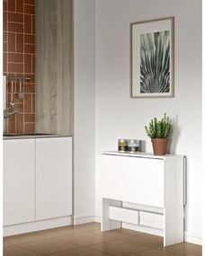 Tavolo da pranzo pieghevole con piano bianco 76x28 cm Papillon - TemaHome
