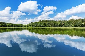 Stampa su tela – Natura in estate