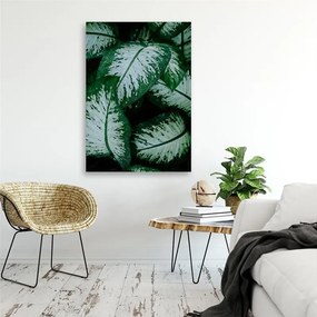 Quadro su tela, Foglie verdi pianta della natura  Dimensioni Tappeti 40x60