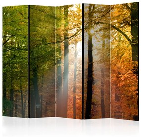 Paravento Colori del bosco II (5 parti) - paesaggio solare tra gli alberi