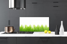 Pannello paraschizzi cucina Erba, piante, natura 100x50 cm