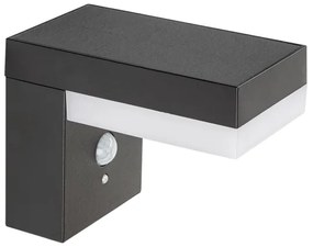 Rabalux 77009 - Luce solare a LED con sensore ZREBAR LED/6W/3,7V IP44