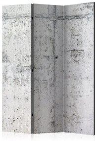 Paravento Concrete Wall [Room Dividers]
