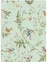Cole & Son Carta da parati Hummingbirds - Multi/ Old Olive on Duck Egg Mica