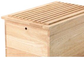 Continente C3141 - Portapane 34,5x23 cm gomma fig