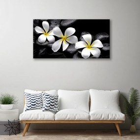 Quadro su tela Fiore della Pianta Plumeria 100x50 cm