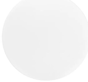 Plafoniera LED da esterno NELA LED/20W/230V IP44