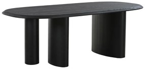 Tavolo da pranzo con piano effetto frassino 100x220 cm Tirano - House Nordic