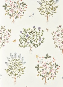 Sanderson Carta da parati Thyme Walk - Damson & Quince