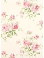Sanderson Tapete Adele - Rose/ Cream
