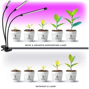 Lampada LED dimmerabile con clip per piante VITARO 3xLED/10W/230V nera