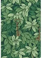 Cole & Son Carta da parati Chiavi Segrete - Leaf Green