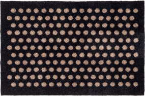 Zerbino Dot