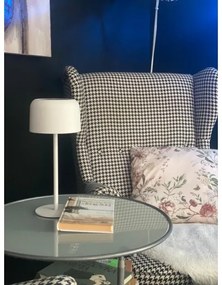 Immax 08497L - Lampada solare da esterno dimmergibile LED/4W/5V 3600mAh IP44