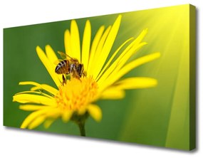 Quadro su tela Natura del fiore dell'ape 100x50 cm