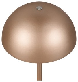 Lampada da tavolo LED color bronzo con paralume in metallo (altezza totale 21 cm) Munoz – Trio