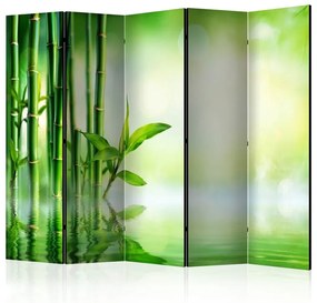 Paravento  Bamboo Grove II [Room Dividers]  Colore ---, Dimensioni e Misure 225x172