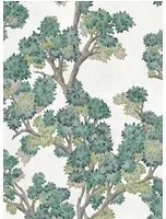 Coordonne Carta da parati Field Maple - Mint