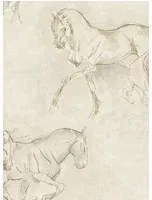 Lewis & Wood Carta da parati Equus - LW74