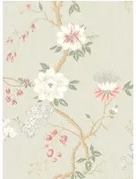 Cole & Son Carta da parati Camellia - Coral/ Duck Egg