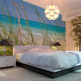 Fotomurale  Tropical journey  Colore Beige, Dimensioni e Misure 450x270