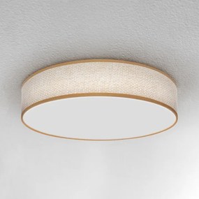 Brilagi - Lampada da soffitto dimmerabile CARMEN LED/48W/230V 3000-6500K + DO