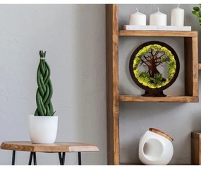 Li-Go 23631/DUB2 - Lampada da tavolo decorativa a LED dimmerabile, 12W/230V, 30×31 cm, finitura rovere