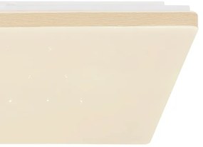 Globo 48025WSH - Plafoniera LED Dimmerabile LED/24W/230V Wi-Fi Tuya + TC