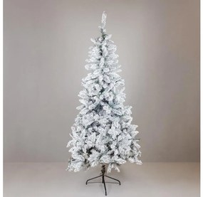 Albero di Natale SCOTLAND 210 cm, abete